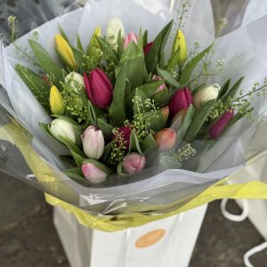 TULIP DELIGHT
